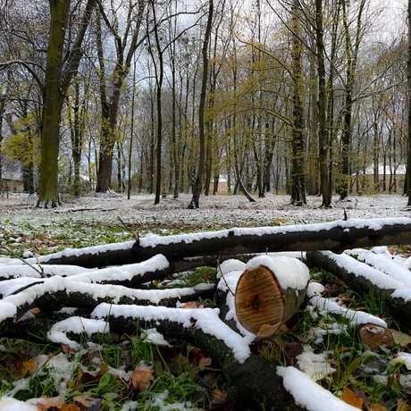 Zima 2023. Pierwszy śnieg w Rzeszowie [Park im. Szafera] - fot 21